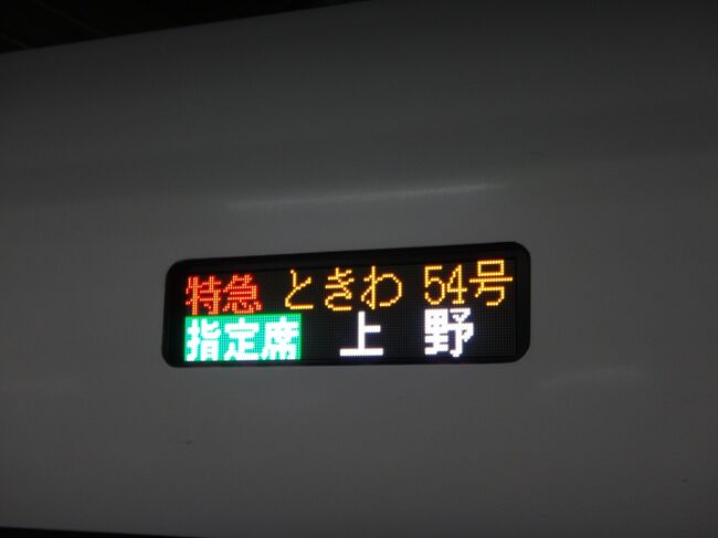 HOナロー) 上野(こうずけ)鉄道 5号II ポーターサドルタンク 蒸気