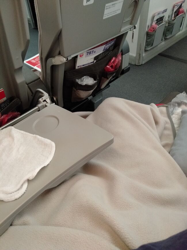 結論を先に言うと現地到着後の入国では何の問題も無く無事に入国できました。<br /><br />この日のフライトは成田から搭乗する乗客はもの凄く少なかったのですがどうもアメリカン航空でアメリカから来て成田で乗継いでバンコクに行くアメリカ人のお客さんが一杯居て機内はまるで米系の航空会社の様でした。それでも乗客数は1/3以下で私のお隣は空席で1人で2席利用できました。<br />因みにシートレイアウトは横一列が２－４－２で計8席と他社は9席のレイアウトが多いので７８７としては良心的なレイアウトです。今回の機材は違うのですが長距離路線で使われているスカイワイダーと言われるシートはシートピッチも広くエコノミークラスのシートとしては世界一では無いかと思っています。隠れJALファン？