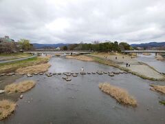 ここも来たかった！
鴨川デルタ。
本当はあの飛び石を渡ろうと思ったのですが、
ちょっと足がすくんでしまい、、、、。
代わりに次男にわたってもらいました？