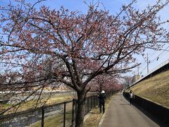 中央公園から歩道橋を渡って 多摩湖自転車道に入ります