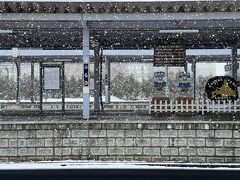 富良野駅に戻ってきた。春旅です。風雪ながれ旅ではありません。