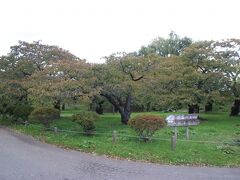 松前城の敷地を出て隣接する松前公園を散歩してみます。
松前公園の中には桜の見本園がありました。ここ以外の松前公園の桜はソメイヨシノでだいたいゴールデンウイーク頃に咲くそうですが、こちらには１００を超える種類の桜が植えられていて咲く季節には大きなバラつきがあるそうです。
ただまあ１０月半ばだと咲いている桜は残念ながら見られませんでした。