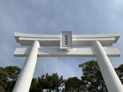 唐津神社に到着ー。
鳥居がデカい！
驚きの白さ。