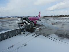 　１０：４５　定刻に雪の仙台空港に着陸。