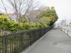 博物館から佐野いこいの森緑地に向かう際に歩いた葛西用水路。
埼玉県東部から東京都東部に流れる用水路です。用水路の脇に桜が植えられていて、区立博物館の近くの用水路両側に歩道があります。木橋が掛けられている箇所がありますが、老朽化して立入禁止になっていました。