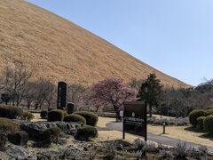 大室山のシルエットがどーんと大迫力で見られる公園が近くにあったので寄りました。
さくらの里、という広々とした場所です。