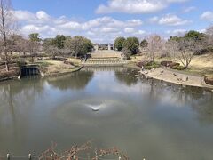 臼井地区南にある七井戸公園
ソメイヨシノがたくさんあるが、まだまだこれから。