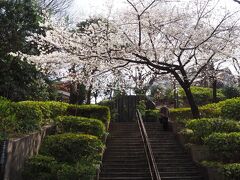 お隣の宮本公園
桜が咲き始めていたのでぱちり