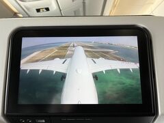 伊丹空港発の大きな飛行機です。機外カメラがたのしい。