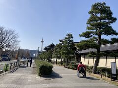 東本願寺(お東さん)