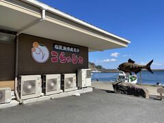 稲取漁港直売所「こらっしぇ」

稲取名産のキンメダイをはじめ
多くの海産物や野菜が販売されていました。