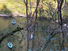 さて、それでは貸しボート乗り場へ。

今回は念のためにということで、予約しておきました。
お休みの日には数時間待ちになることもあるそうですが、
この日は当日申し込みの方も10分程度の待ち時間だったみたいです。