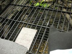 奥にある希望を叶える泉。
何をお願いしたんだったか…。今なら、みんなが安心して旅行ができる世の中にして！だな。