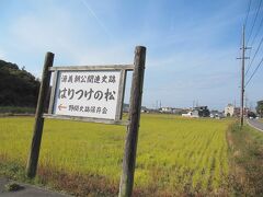 ＜野間駅～野間大坊＞
物騒なもの・その1
田んぼや畑を横目に歩いていくと、左手に興味をそそる看板が。
でも約束の時間があるのでスキップします。
