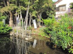 ＜大御堂寺（おおみどうじ） 野間大坊＞
物騒なもの・その2
血の池
平治元（1159）年長田忠致（おさだただむね）親子により討たれた義朝公の御首を洗った池。国家に一大事があると池の水が赤くなると言い伝えられています。
（野間大坊公式HPより）

手抜きで、野間大坊さんのHPからの出典が続きますm(_ _)m

そう！先ほどの「はりつけの松」は、長田親子が磔刑に処された松が残っているところとか。