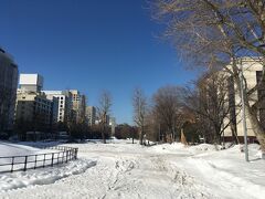 大通公園はまだ雪の中ですが