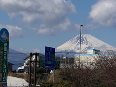 いつもの休憩場所
伊豆フルーツパーク
いちごがとてもお買い得だった
空気が澄んでいて富士山がキレイ
