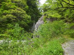 大山ブナの森ウォーク
金門