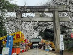 上野公園内の上野東照宮。

鳥居の先、両脇の桜が綺麗です。