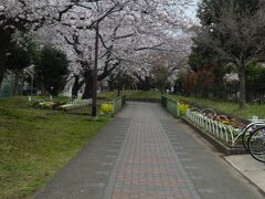 赤羽緑道公園
こちらは軍用貨物の線路跡。
わかりやすくていいわ。