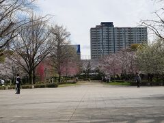 浜町公園(芝生広場)
後藤新平の主導により、1923年に発生した関東大震災によって壊滅的な被害を受けた東京の復興事業の一環として、隅田公園（台東区、墨田区）・錦糸公園(墨田区）と並んで計画された。当地は、江戸時代は一橋徳川家、笠間藩主・牧野氏、弘前藩主・津軽氏、熊本藩主・細川氏（幕末期には沼津藩主・水野氏、岩槻藩主・大岡氏の屋敷となっている）の下屋敷があり、明治期以降も細川家の邸宅があったが、公園として整備され1929年開園した。(説明文より)