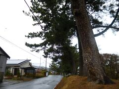 出発からずっと国道1号を走り。

御油宿から旧東海道へ。

御油の松並木を通り抜ける。

この場に来る迄に色々とありまして。

シートからぶら下げている大型のバッグ。
これのカバーがリアタイヤと干渉して、シャーシャーとずっと音を上げていました。
どの様にカバーの位置を移動しても干渉して音を出してしまうので。
まずはシートバッグのカバーを途中で取り外しました。
次に、シューズ。

自転車のシューズは蒸れを防ぐ為に靴底から上の方まで細かな穴がたくさん空いています。
そこから雨が侵入するので、靴下の上からコンビニ袋を巻いて、シューズを履いて雨の侵入を防ぐようにしました。

グローブ。。
これはどうしようも無くて。
途中で閃いたのは、ホテルの朝食。
バイキングの時に使用するあのビニール手袋。
あれを貰ってくれば良かったと思いました（笑）
グローブの下に着けていれば、多少は違ったんじゃないかと。
グローブは絞るとかなりの水滴が落ちてくるほどになっちゃいましたが、外すと走行時に受ける正面からの風で、手が冷えてしまって。
まだ装着していた方がマシでした。
