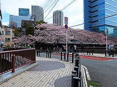 太鼓橋に到着