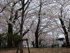 洗足池公園