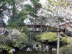 報徳二宮神社にもちょっとだけ寄って、お参りしました。
ここの池がとてもいい感じだったのに、写真だと伝わらなくて残念(;'∀')