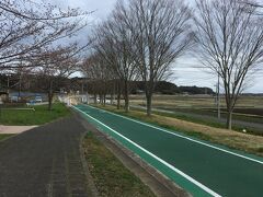 つくばりんりんロード (桜川土浦自転車道)