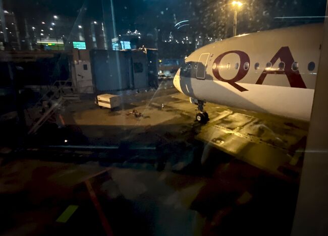 南米からのラストフライトbyカタール航空 サンパウロ ドーハ 成田 サンパウロ ブラジル の旅行記 ブログ By コタ Kota 1号さん フォートラベル 南米からのラストフライトbyカタール航空 サンパウロ ドーハ 成田 サンパウロ ブラジル の旅行記 ブログ By コタ Kota 1号さん フォートラベル
