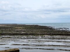 さて、最後にやってきたのは青島です。

”鬼の洗濯板”がしっかりと見えてますね。