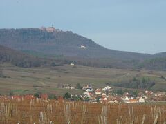 ユナヴィール（Hunawihr ）の町越しに、オー・ケニグスブール城
（Chateau du Haut-Kenigsbourg ）が見えます。
