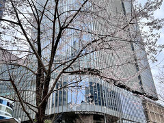 東京ミッドタウン日比谷の近くに咲いてた桜☆ﾟ+

曇り空であんまりキレイに撮れませんでした(｡-_-｡)