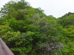 大山
東大山大橋から撮影