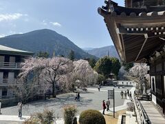 身延山久遠寺