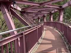次に石川県の有名スポットの一つであるあやとり橋にきました。すんごいグネグネです。