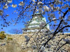 ここは有料エリアの西の丸庭園
桜の標本木もここにあります
大阪城と桜のコラボが撮れる場所です！
