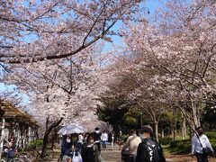 次は大阪城

一日メトロあると色んな所行けて良いですね、電車乗るのが苦では無くなる


桜フォトスポットの地図もあったので見忘れることなく見れるのも良いです