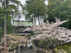 そして、すぐ近くの円覚寺へ。

ご住職が写真を撮られていて「早朝はまだ満開じゃなかったのだけれど、するする～っと咲いてまさに満開ですな」とのこと♪