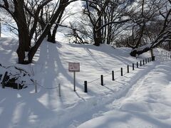 　山形城三階櫓跡は桜の名所。