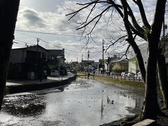 公園横には桜川が流れています。現在は渇水の時期でしょうか？前回よりも水が少ないです。三島のまち中には大きな河川はないのですが他にもいくつかもの小さな川が流れています。