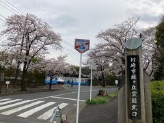 久地駅近くから、「川崎市営緑ヶ丘霊園」まで来ました。