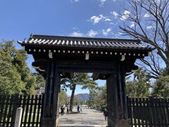 蛤御門から入りました。いい天気です。この日は20度越えの陽気。