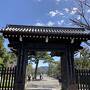 咲き始めの京都の桜　その１　京都御苑・哲学の道・霊鑑寺、ホテルはダーワ悠洛京都