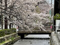 高瀬川一の舟入界隈の桜の鑑賞に来ました。

高瀬川は、江戸時代初期に、ここから伏見を結ぶために物流用に開削された運河で、森鴎外の小説にもある高瀬舟が、大正時代まで運行されていたそうです。