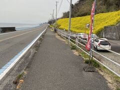 見えてきました、潤住（うるすみ）の菜の花畑。