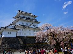 お城も立派。
そして青空と、言うことなし。

夜には、ライトアップされ、
「夜桜」も楽しめるという、オプション付き。