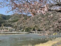 渡月橋と桜。桜はまだまだ。
