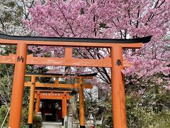 京都の桜巡り。
一番最初は「平野神社」にしました。境内には60種類、約400本もの桜が植えられています。